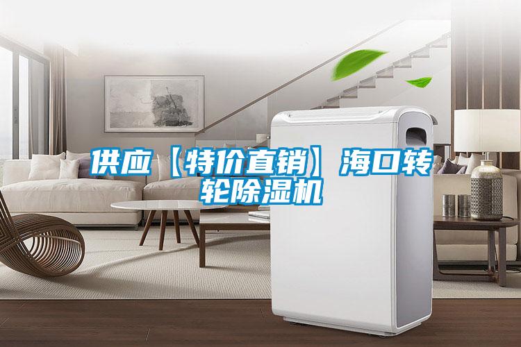 供應(yīng)【特價直銷】海口轉(zhuǎn)輪除濕機