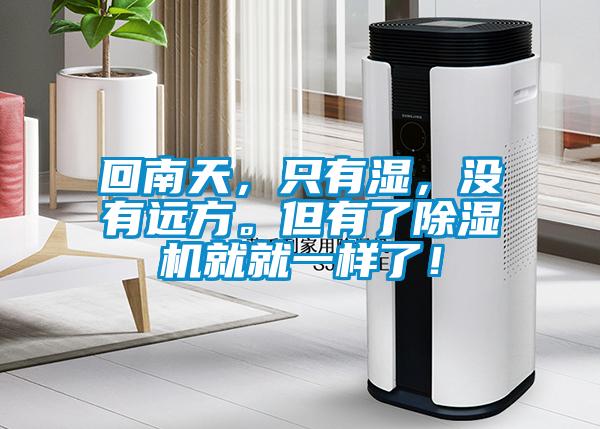 回南天，只有濕，沒有遠方。但有了除濕機就就一樣了！