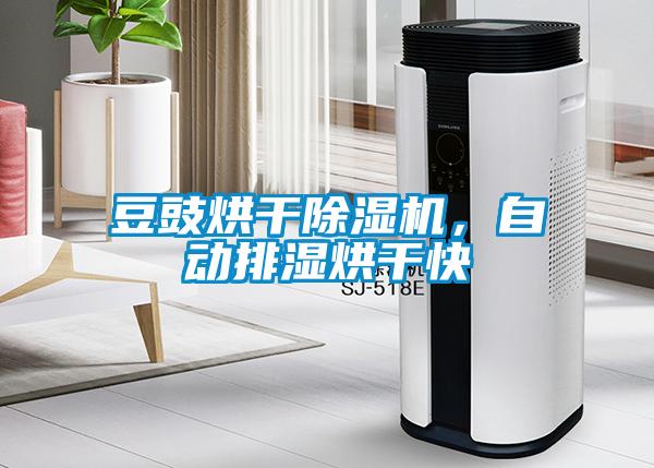 豆豉烘干除濕機(jī)，自動排濕烘干快