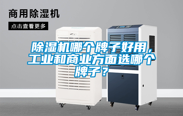 除濕機哪個牌子好用，工業(yè)和商業(yè)方面選哪個牌子？