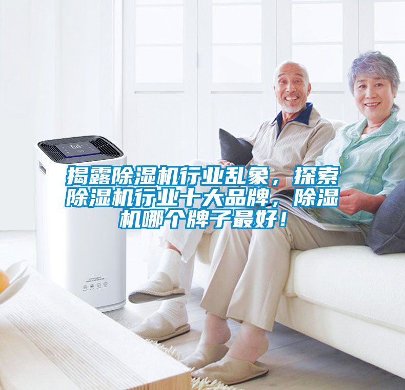 揭露除濕機行業亂象，探索除濕機行業十大品牌，除濕機哪個牌子最好！