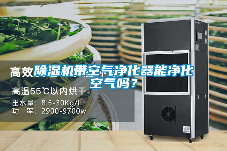除濕機(jī)帶空氣凈化器能凈化空氣嗎？