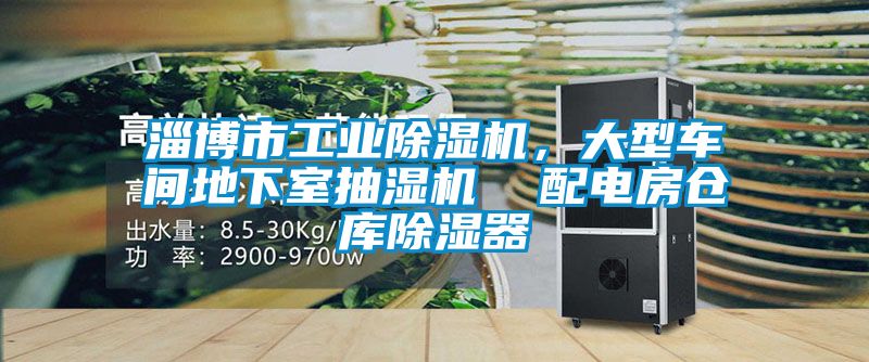 淄博市工業除濕機，大型車間地下室抽濕機  配電房倉庫除濕器