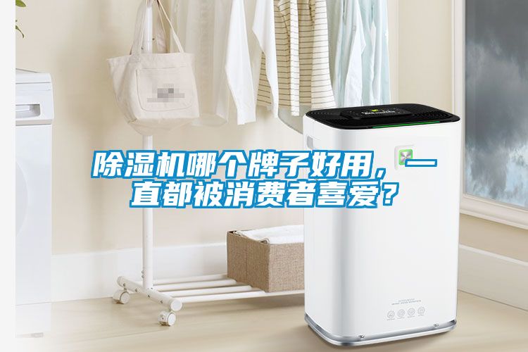 除濕機哪個牌子好用，一直都被消費者喜愛？