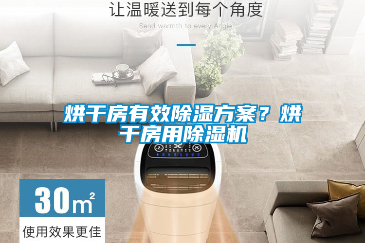 烘干房有效除濕方案？烘干房用除濕機
