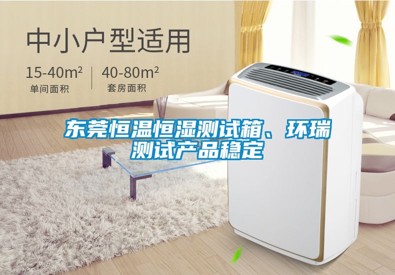 東莞恒溫恒濕測試箱、環瑞測試產品穩定