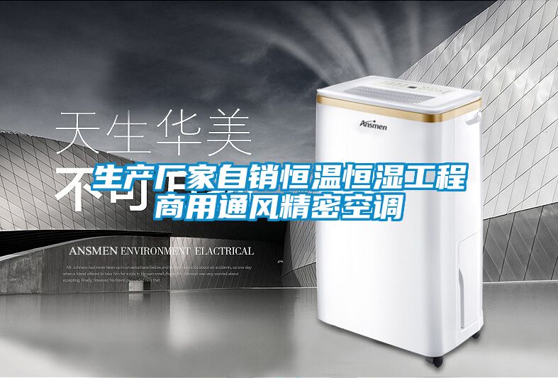 生產(chǎn)廠家自銷恒溫恒濕工程商用通風精密空調