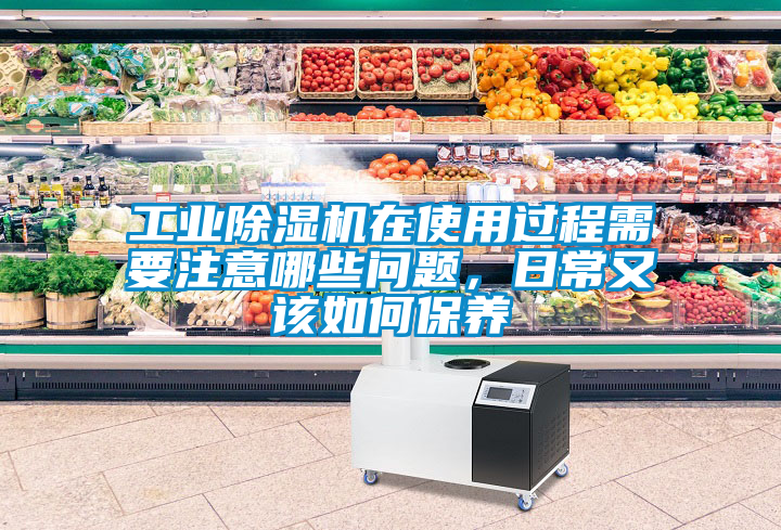 工業除濕機在使用過程需要注意哪些問題，日常又該如何保養