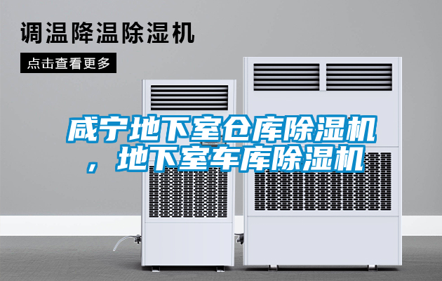 咸寧地下室倉庫除濕機(jī)，地下室車庫除濕機(jī)