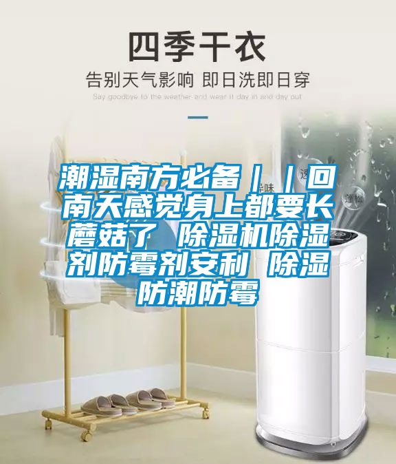 潮濕南方必備｜｜回南天感覺(jué)身上都要長(zhǎng)蘑菇了 除濕機(jī)除濕劑防霉劑安利 除濕防潮防霉