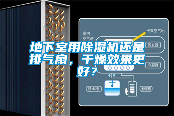 地下室用除濕機還是排氣扇，干燥效果更好？