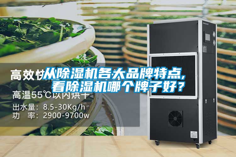 從除濕機(jī)各大品牌特點(diǎn), 看除濕機(jī)哪個(gè)牌子好？