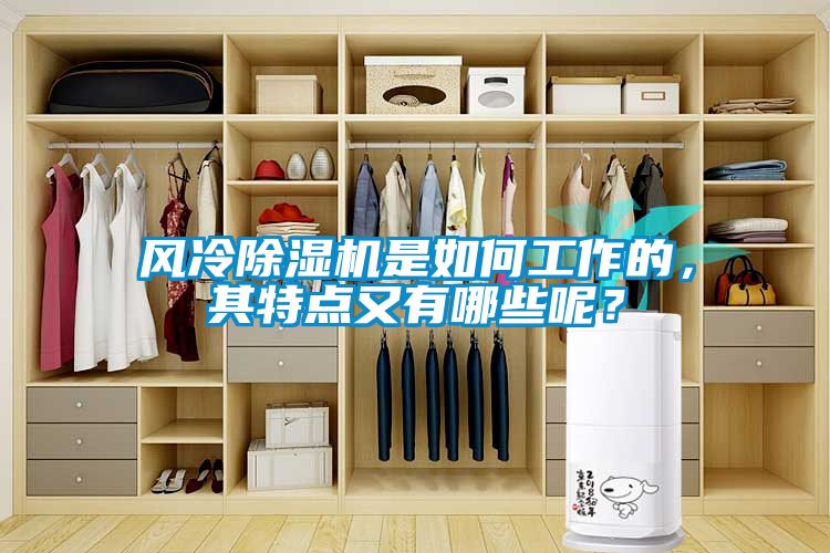 風冷除濕機是如何工作的，其特點又有哪些呢？