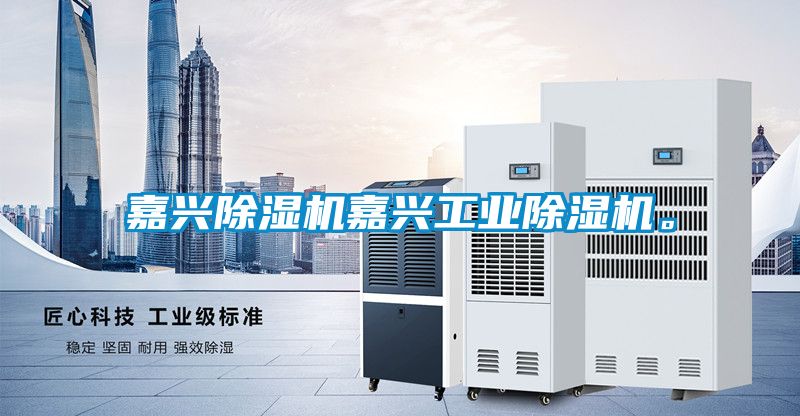 嘉興除濕機嘉興工業除濕機。