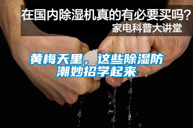 黃梅天里，這些除濕防潮妙招學(xué)起來