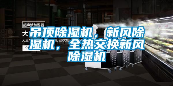 吊頂除濕機，新風除濕機，全熱交換新風除濕機