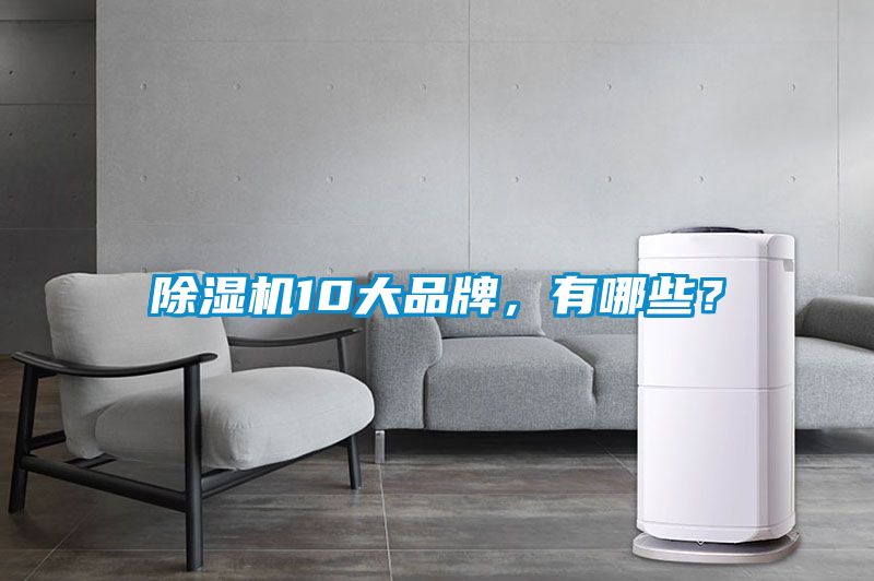除濕機10大品牌，有哪些？