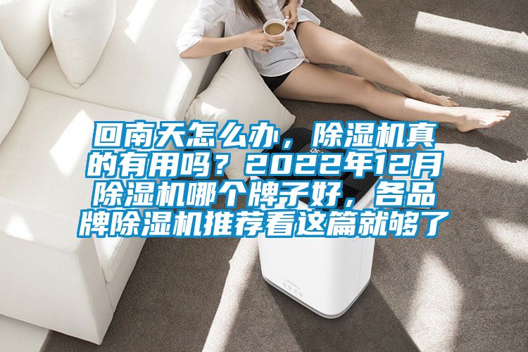 回南天怎么辦，除濕機(jī)真的有用嗎？2022年12月除濕機(jī)哪個(gè)牌子好，各品牌除濕機(jī)推薦看這篇就夠了