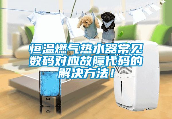 恒溫燃氣熱水器常見數碼對應故障代碼的解決方法！
