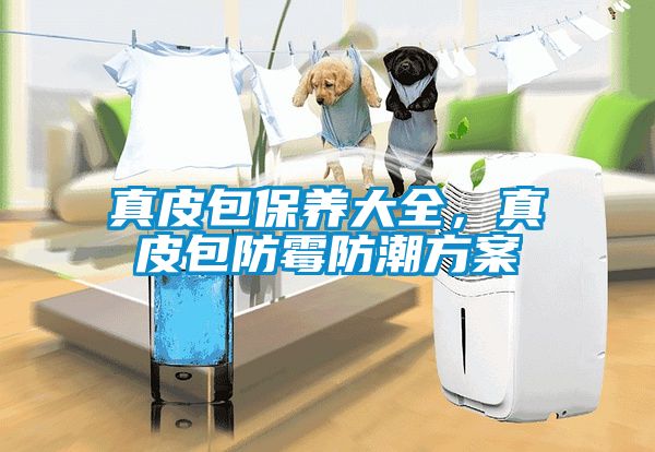 真皮包保養大全，真皮包防霉防潮方案