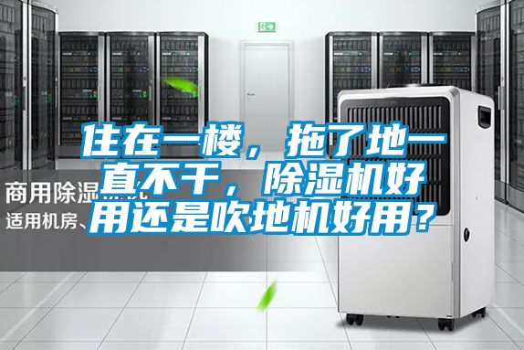 住在一樓，拖了地一直不干，除濕機好用還是吹地機好用？
