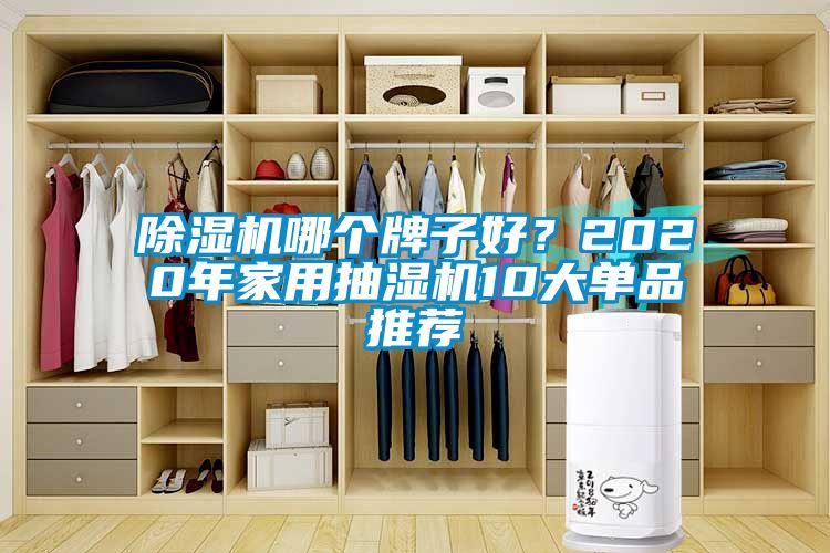 除濕機(jī)哪個牌子好？2020年家用抽濕機(jī)10大單品推薦