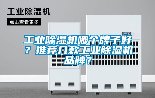 工業(yè)除濕機(jī)哪個(gè)牌子好？推薦幾款工業(yè)除濕機(jī)品牌？