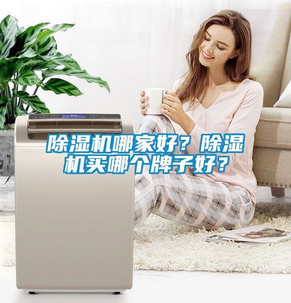 除濕機哪家好？除濕機買哪個牌子好？