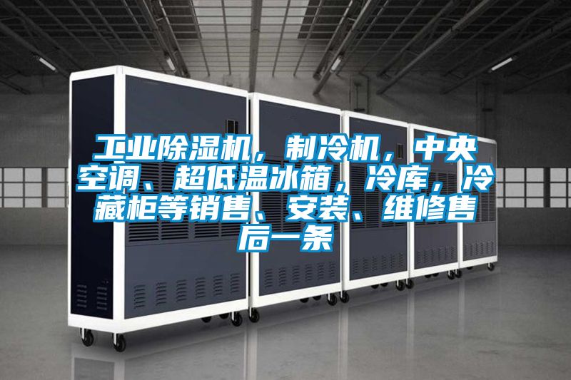 工業(yè)除濕機，制冷機，中央空調(diào)、超低溫冰箱，冷庫，冷藏柜等銷售、安裝、維修售后一條