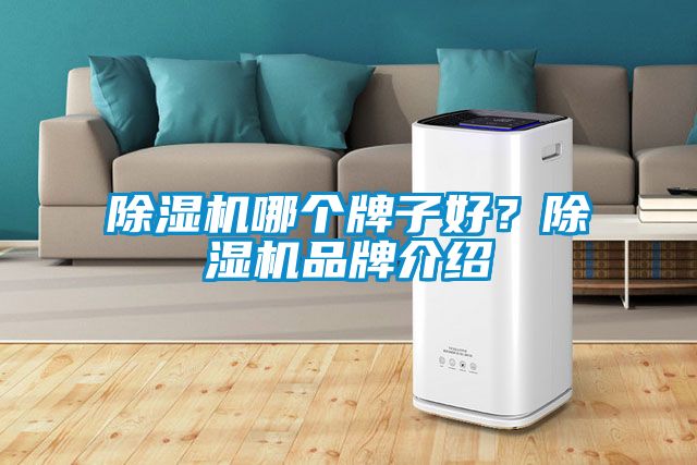 除濕機(jī)哪個(gè)牌子好？除濕機(jī)品牌介紹