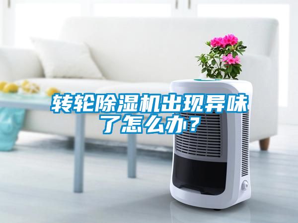 轉(zhuǎn)輪除濕機出現(xiàn)異味了怎么辦？