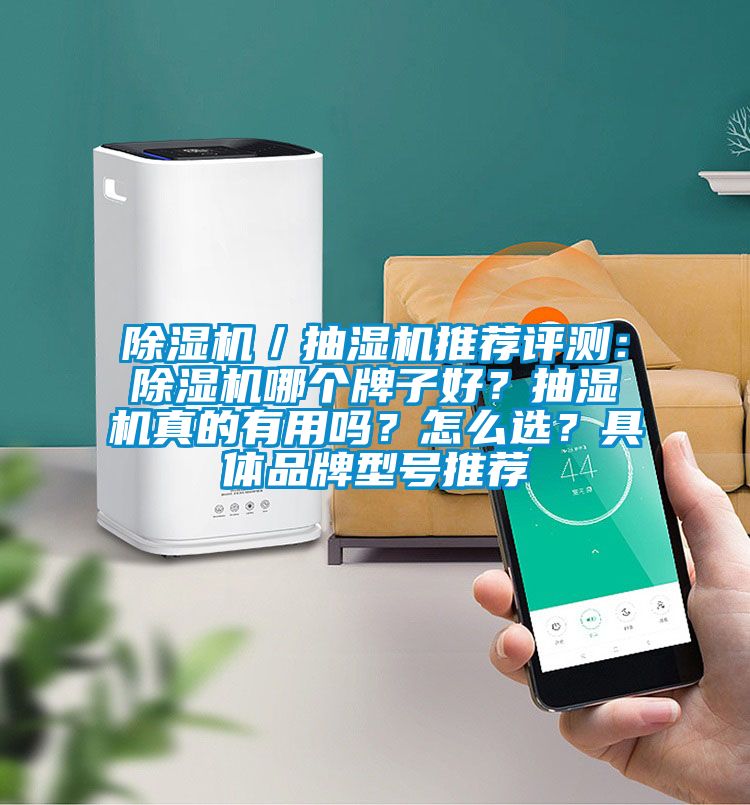 除濕機／抽濕機推薦評測：除濕機哪個牌子好？抽濕機真的有用嗎？怎么選？具體品牌型號推薦