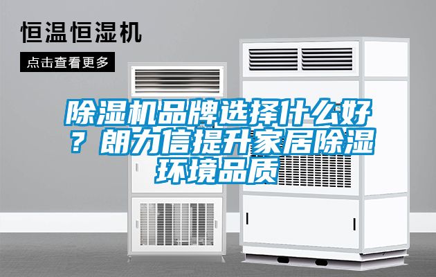 除濕機品牌選擇什么好？朗力信提升家居除濕環境品質