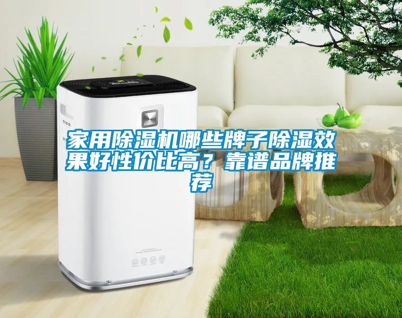 家用除濕機(jī)哪些牌子除濕效果好性?xún)r(jià)比高？靠譜品牌推薦