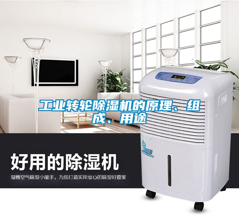 工業(yè)轉(zhuǎn)輪除濕機(jī)的原理、組成、用途