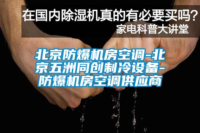 北京防爆機房空調-北京五洲同創(chuàng)制冷設備-防爆機房空調供應商