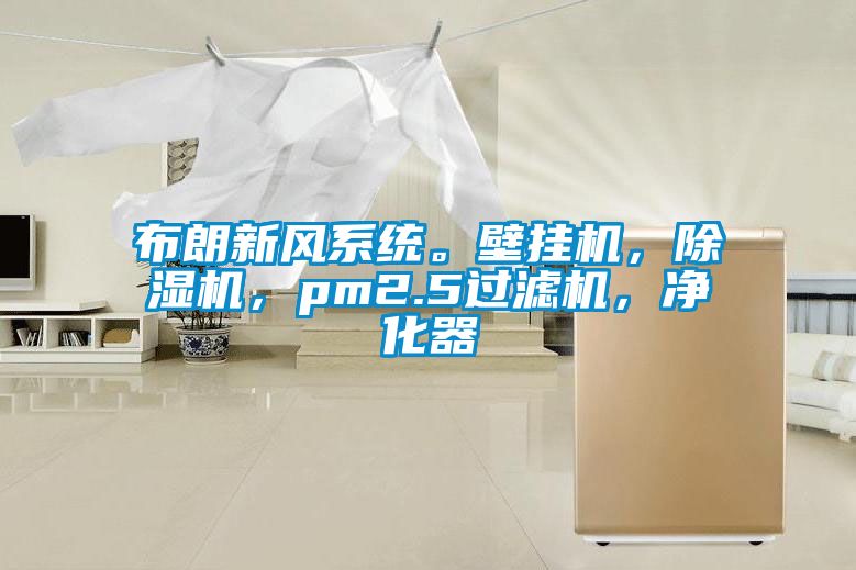 布朗新風系統(tǒng)。壁掛機，除濕機，pm2.5過濾機，凈化器