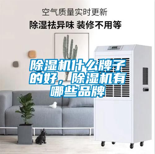 除濕機(jī)什么牌子的好，除濕機(jī)有哪些品牌