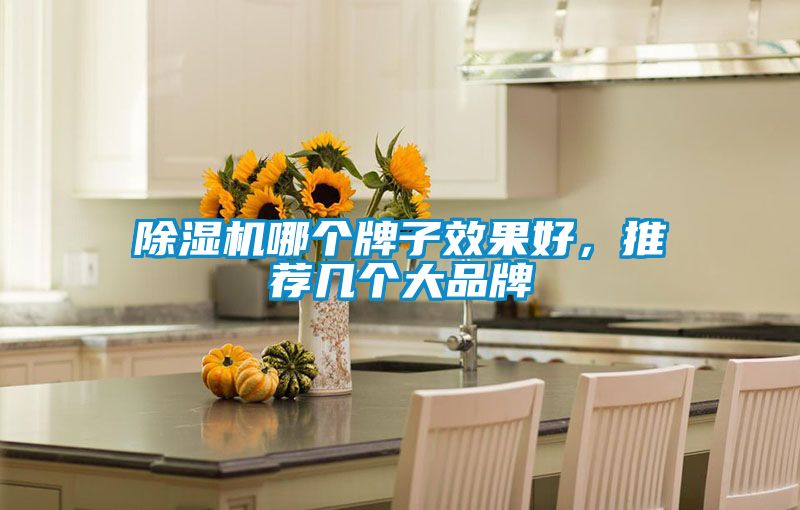 除濕機哪個牌子效果好，推薦幾個大品牌