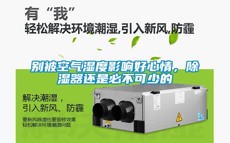 別被空氣濕度影響好心情，除濕器還是必不可少的