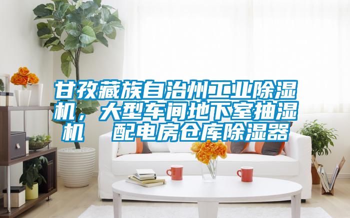 甘孜藏族自治州工業除濕機，大型車間地下室抽濕機  配電房倉庫除濕器