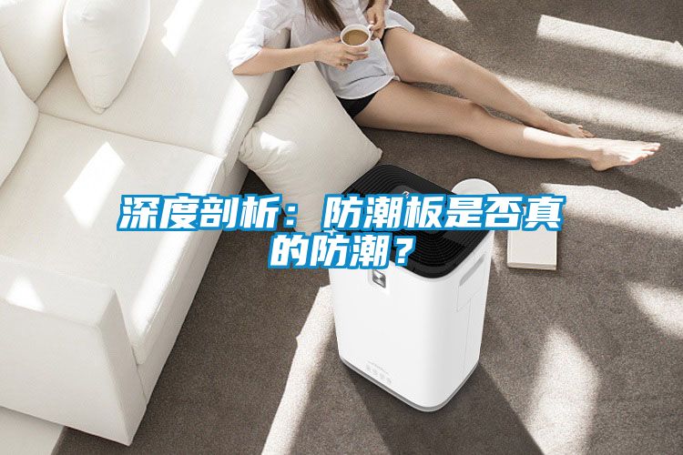 深度剖析：防潮板是否真的防潮？