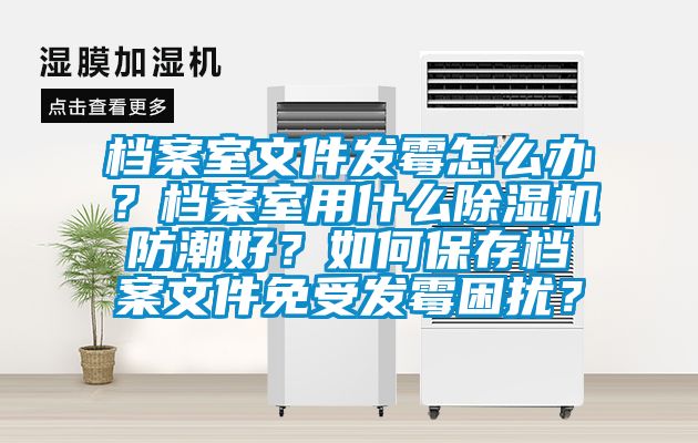 檔案室文件發(fā)霉怎么辦？檔案室用什么除濕機防潮好？如何保存檔案文件免受發(fā)霉困擾？
