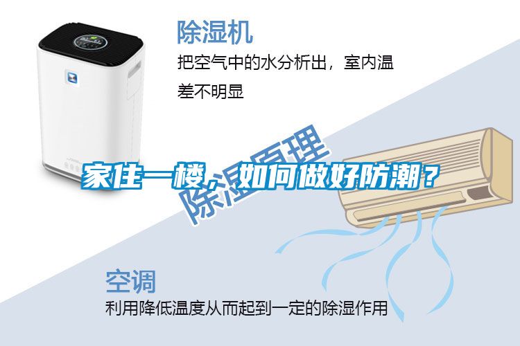 家住一樓，如何做好防潮？